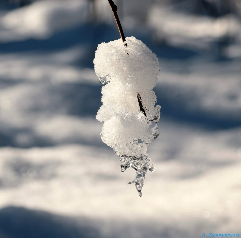 Февральские мотивы - Андрей Заломленков Февральские мотивы - Андрей Заломленков