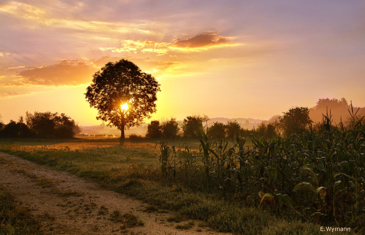 sunrise - Elena Wymann