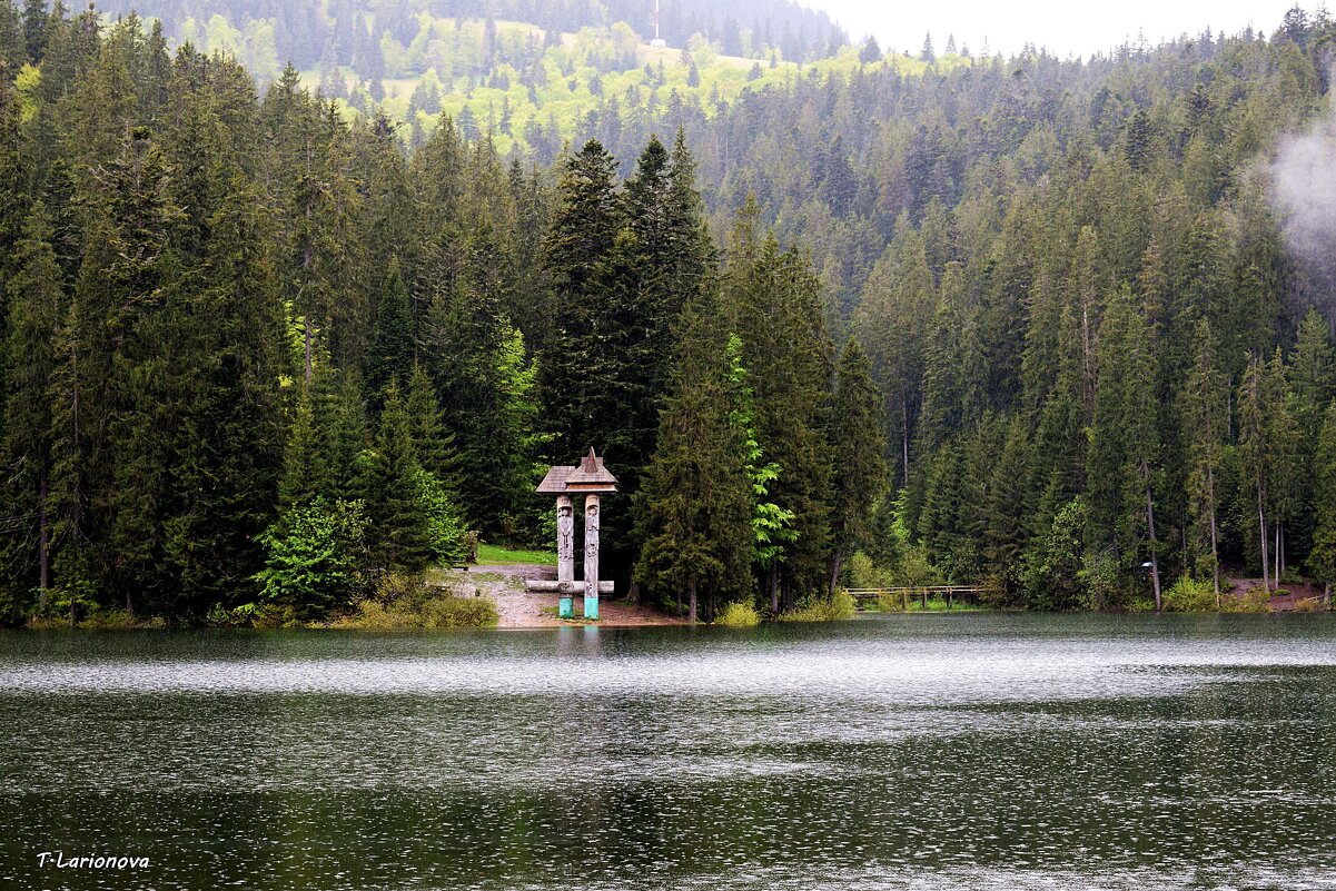 озеро Синевир. Карпаты - Татьяна Ларионова