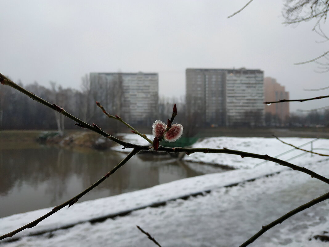 Начало новой жизни - Андрей Лукьянов Начало новой жизни - Андрей Лукьянов