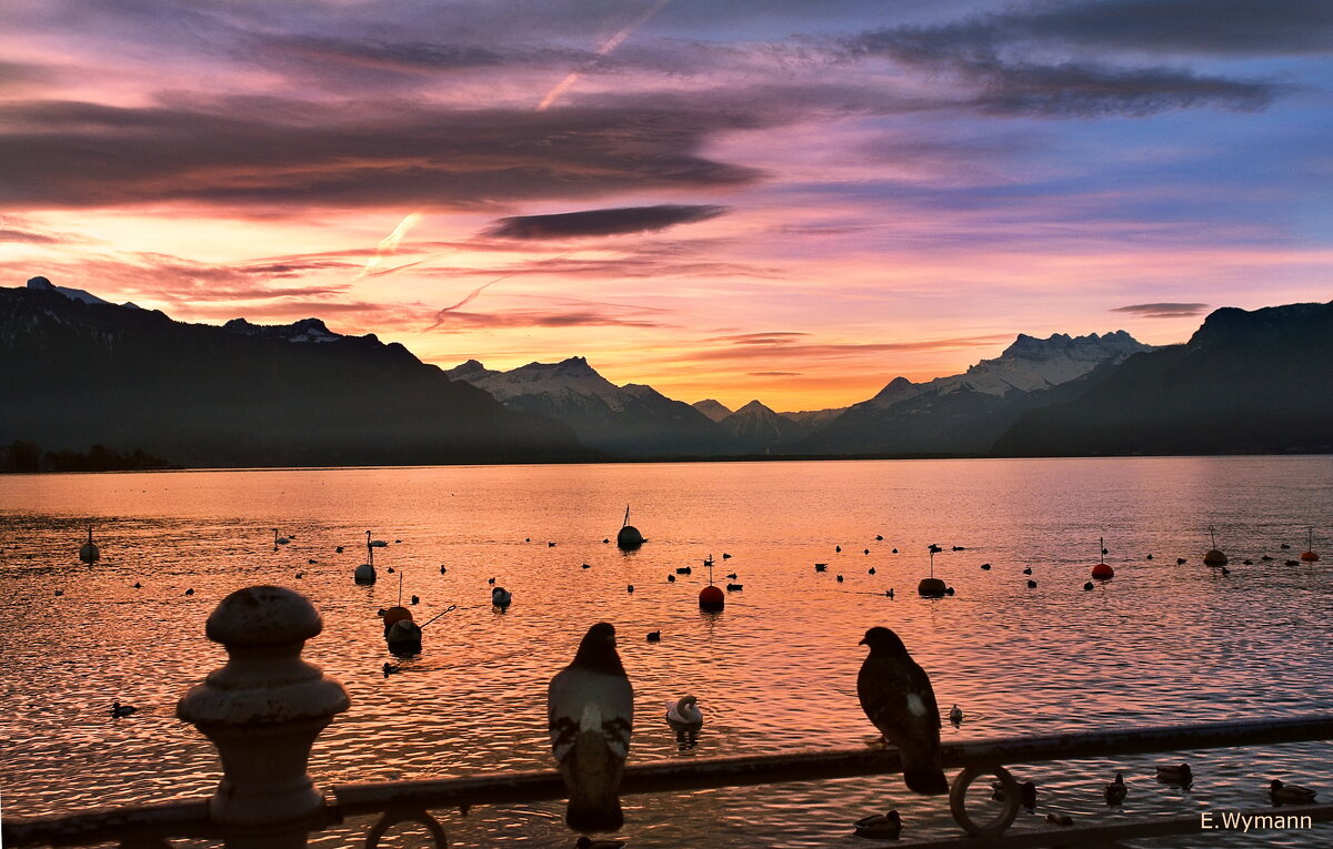 sunrise - Elena Wymann sunrise - Elena Wymann