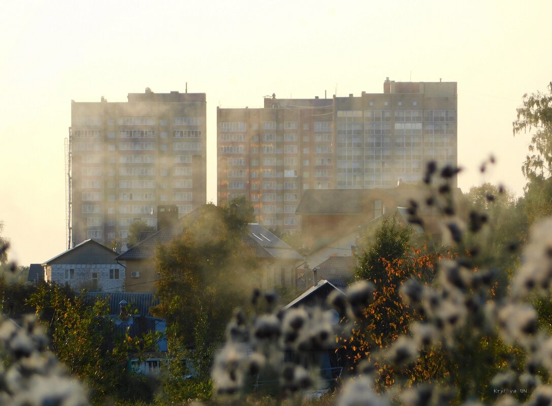 Городская окраина. - Крылова Светлана 