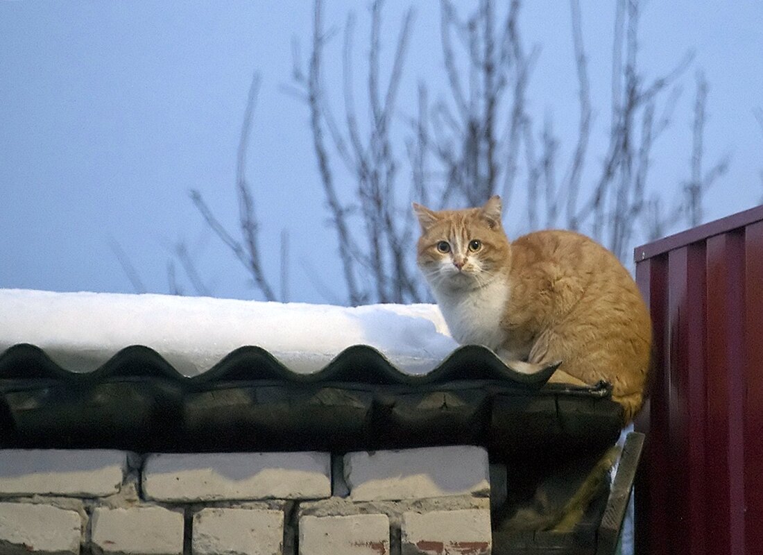 Мартовский - Валерий Иванович