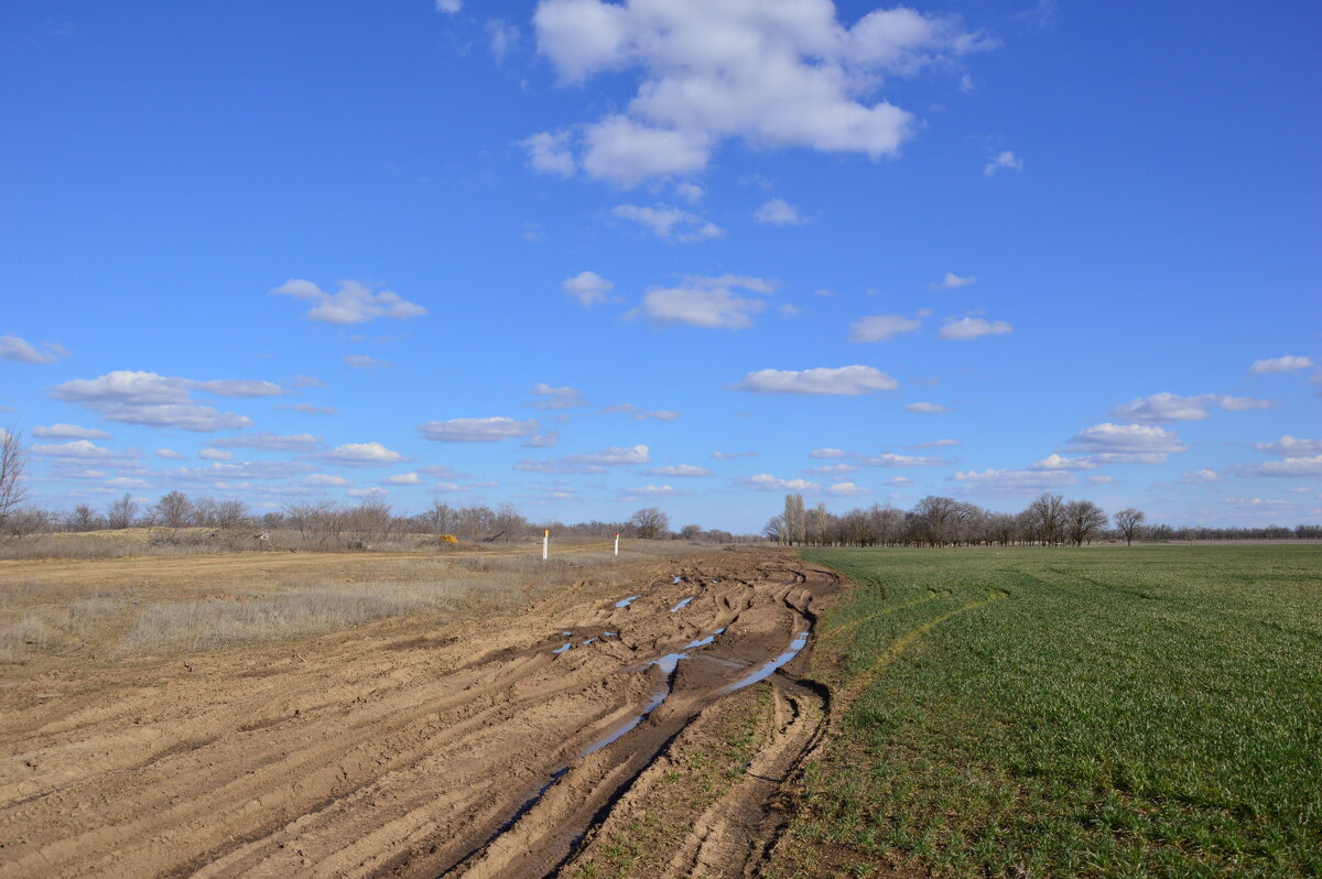 Мои дороги. - Виктор 