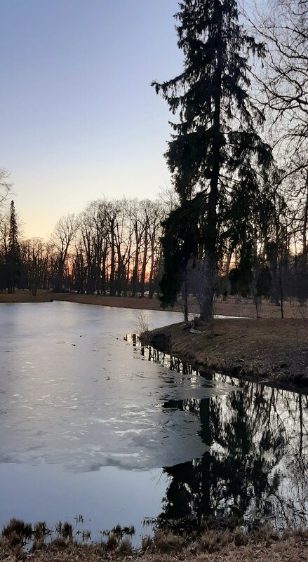 Александровский парк. Март - Наталья Герасимова