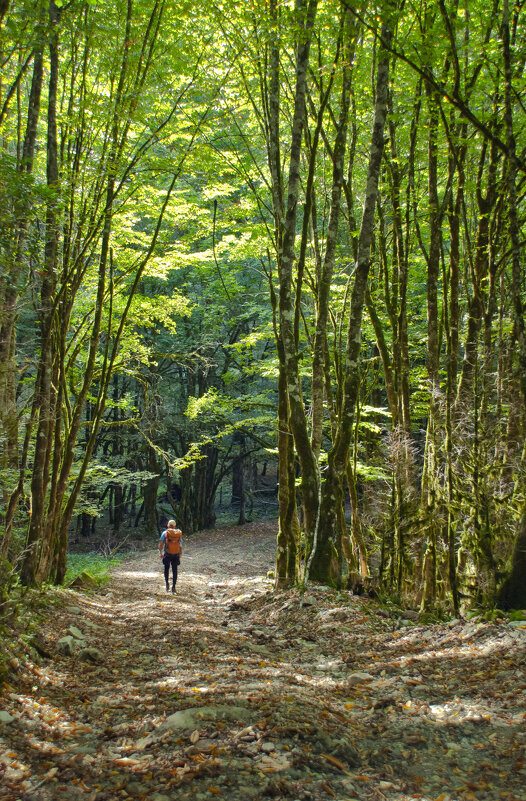 По горным дорогам Абхазии - Денис Масленников По горным дорогам Абхазии - Денис Масленников