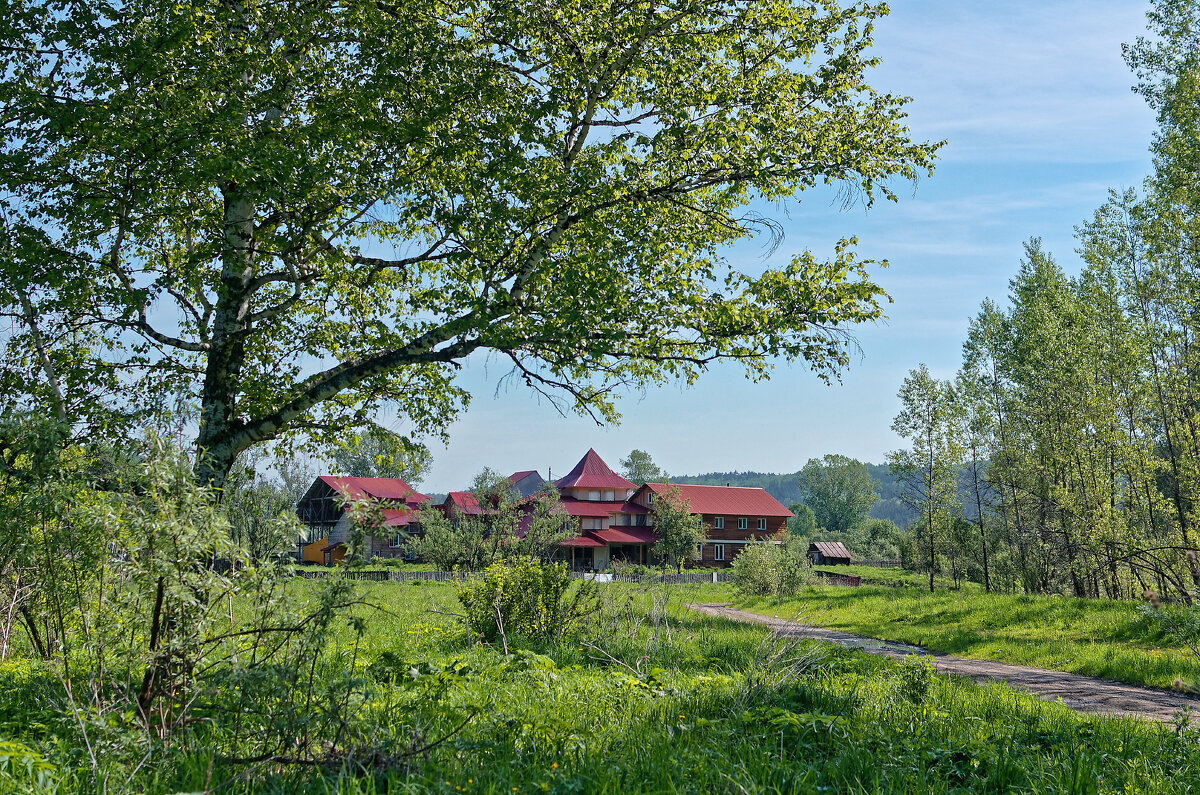 Сибирская глубинка. Домики в деревне - Дмитрий Конев