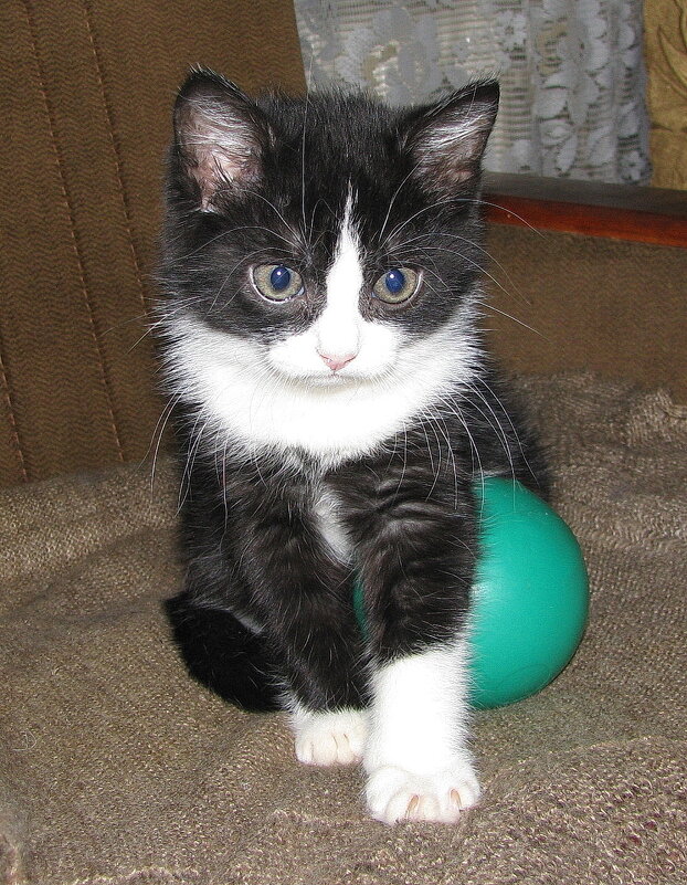 Так скучно одному - Людмила Смородинская Так скучно одному - Людмила Смородинская
