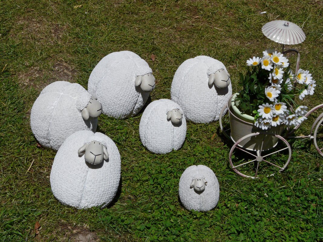 Овечки  :) - Наталья Цыганова 