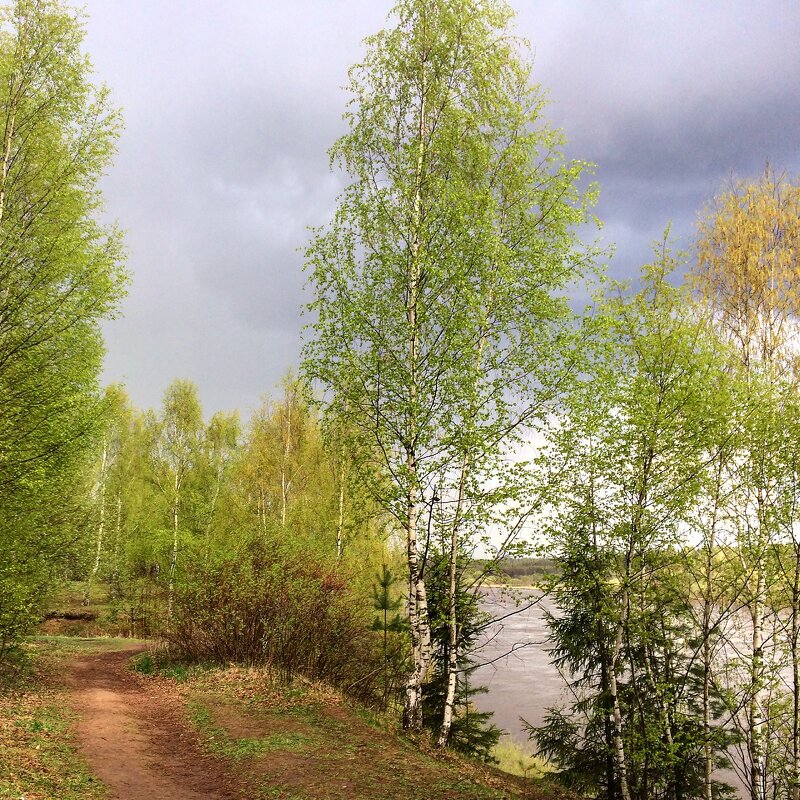 После грозы - Татьяна 