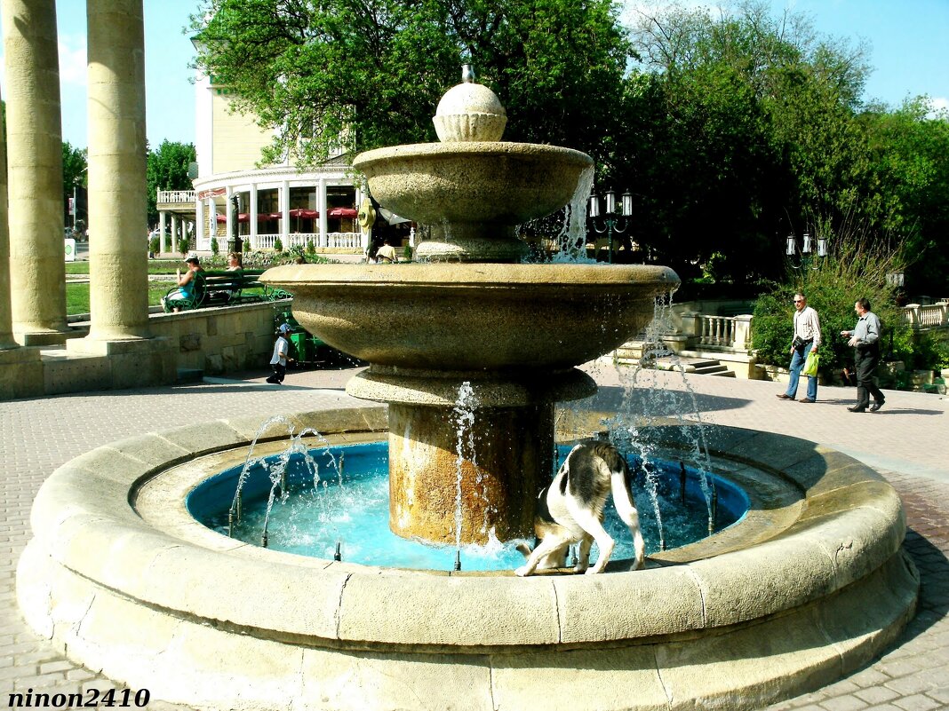 Ессентуки - Нина Бутко Ессентуки - Нина Бутко