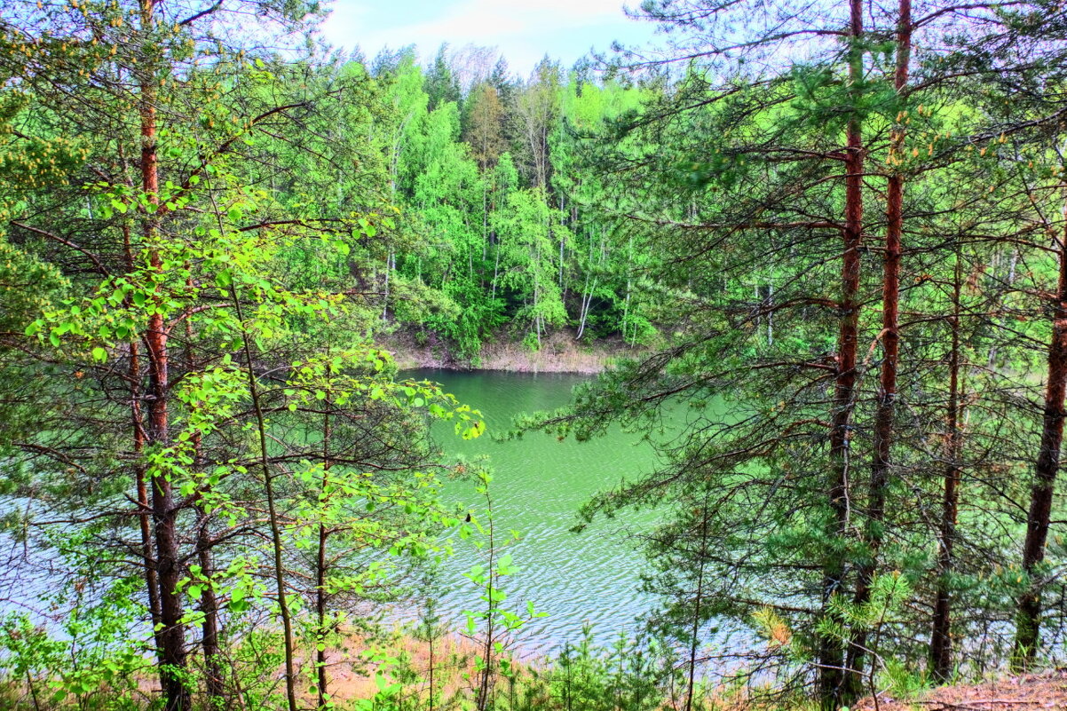 Это Московская область ! - Георгий А Это Московская область ! - Георгий А