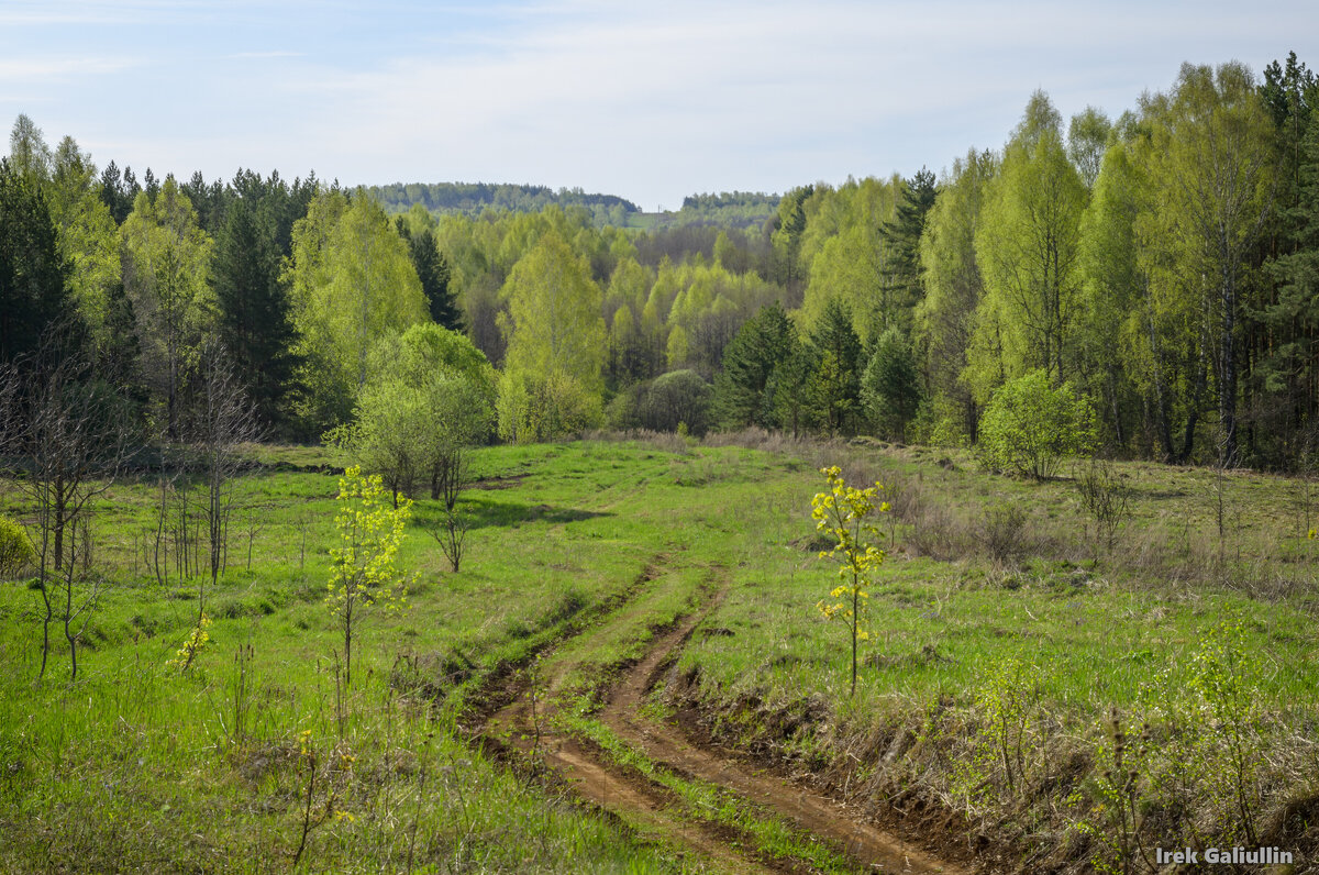 *** - Ирек Галиуллин