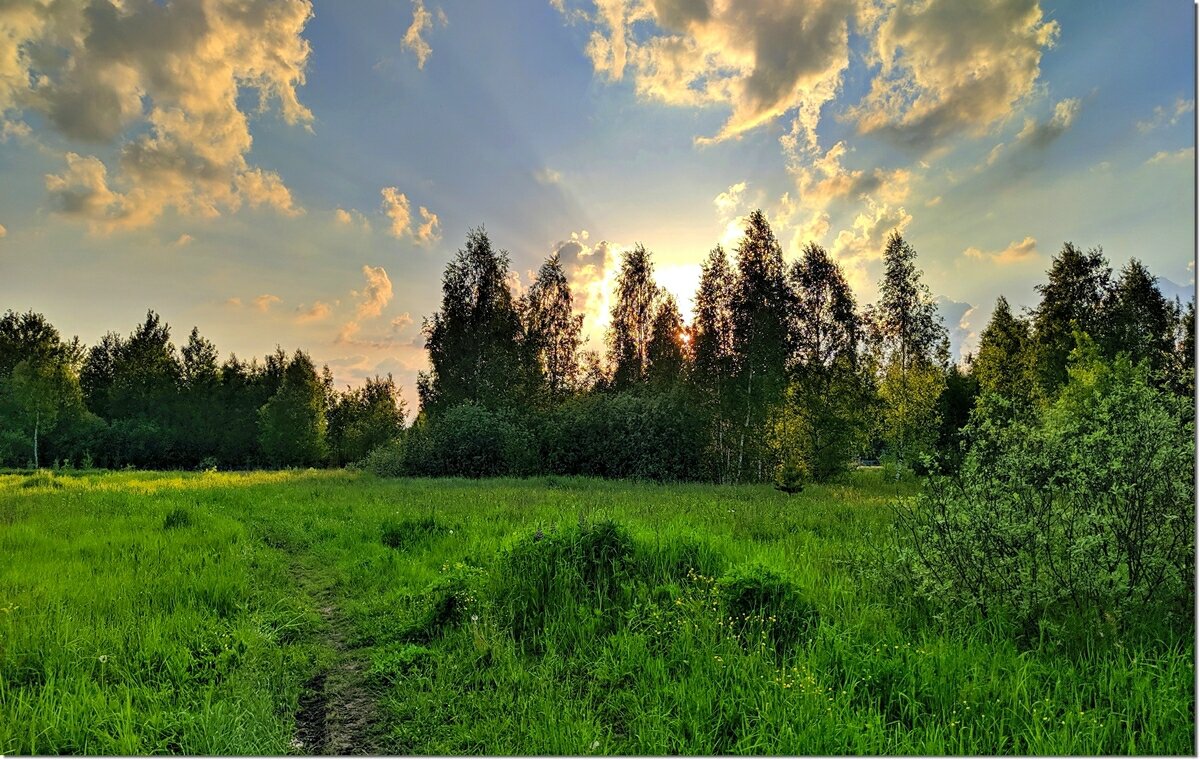 На исходе дня - Вячеслав Минаев