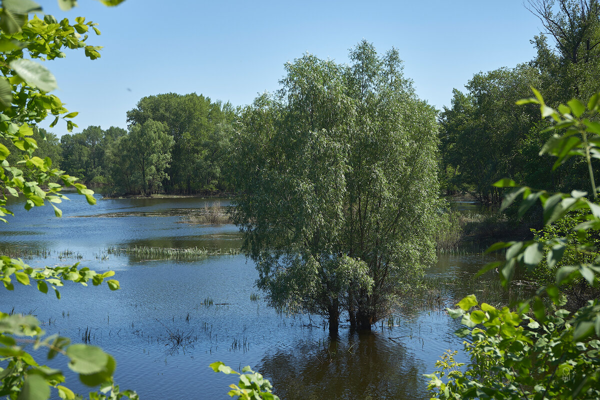 Вода, вода... - Олег Манаенков