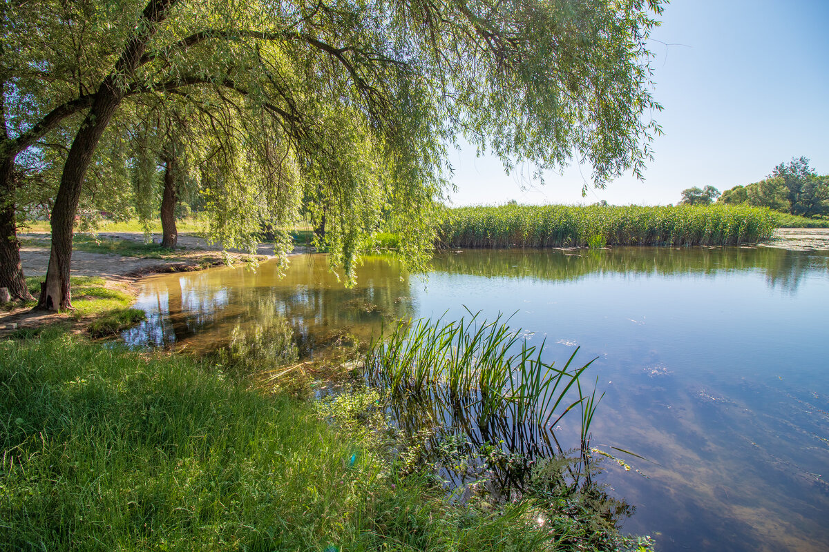 Июнь - Михаил Кашанин