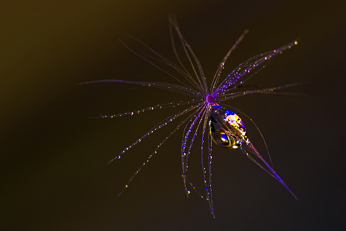 *** - Виктор Иванович Чернюк *** - Виктор Иванович Чернюк