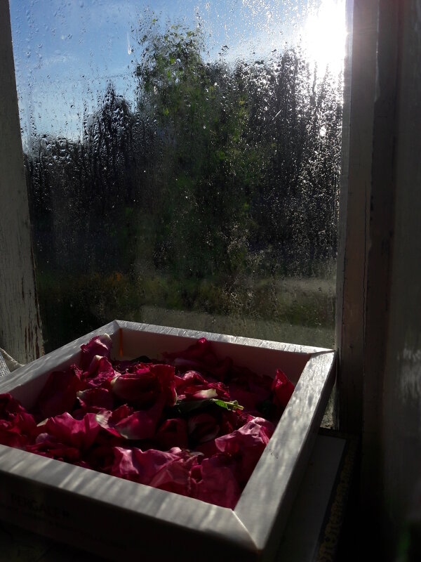 раннее утро за окном - Любовь раннее утро за окном - Любовь