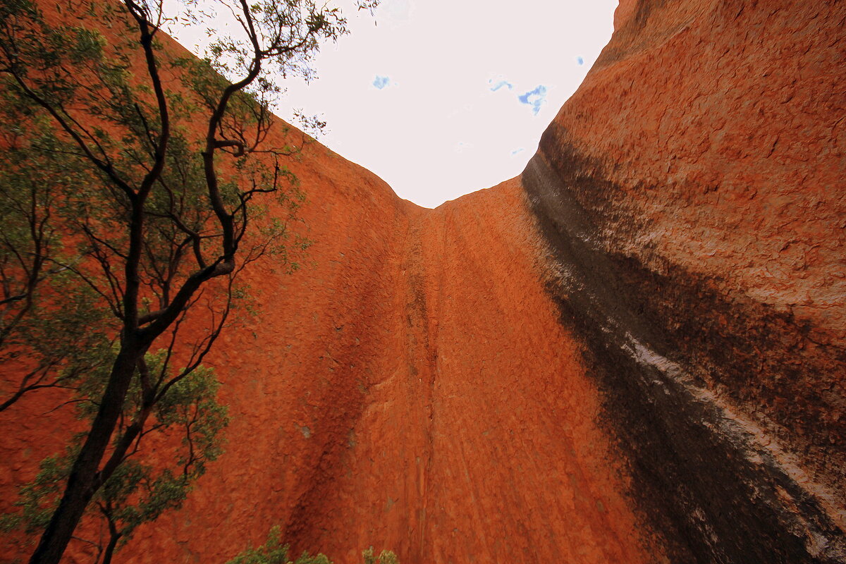 ... - Olga ... - Olga