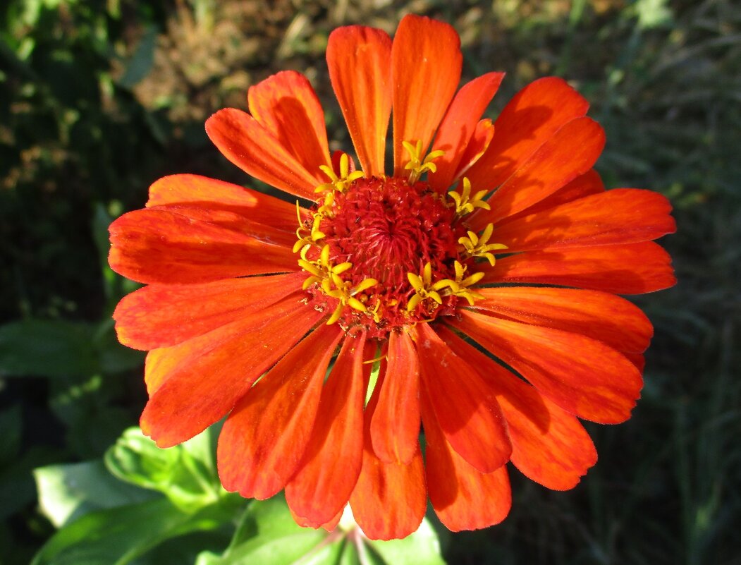 Лето. - Татьяна Иваненкова