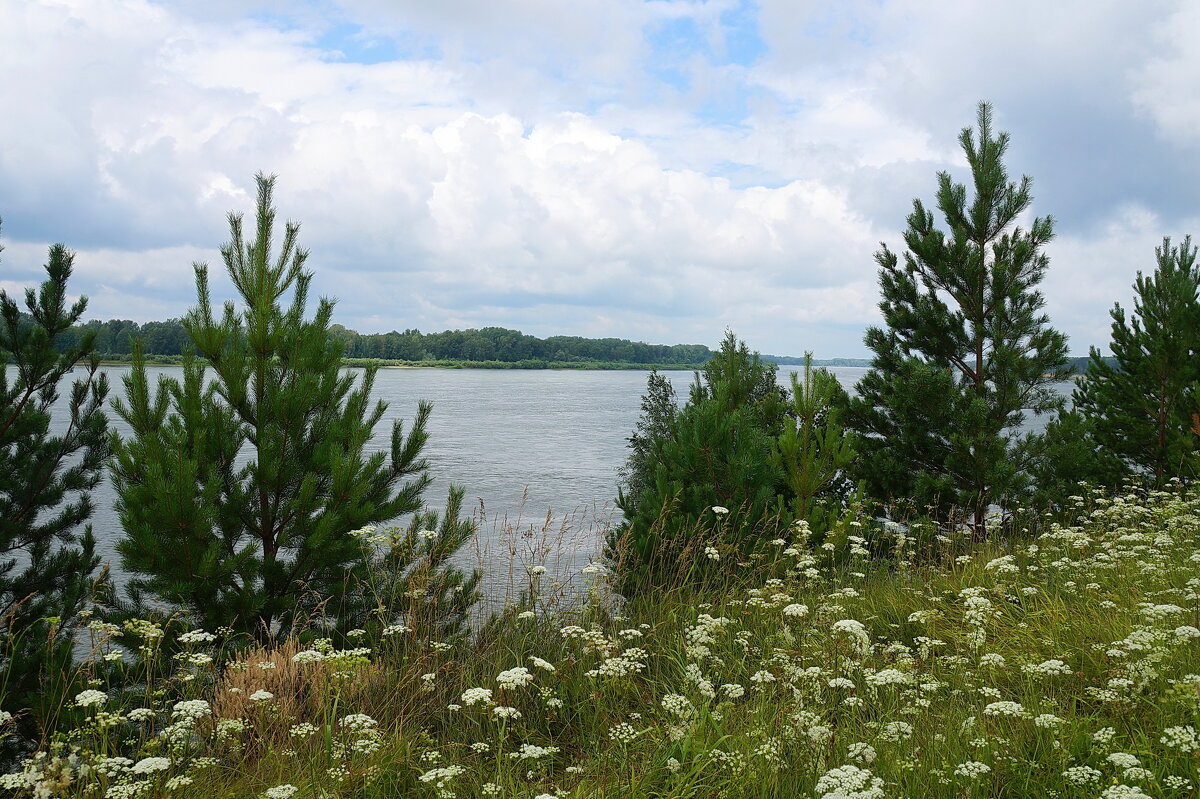 Хмурое утро - Галина Кан Хмурое утро - Галина Кан