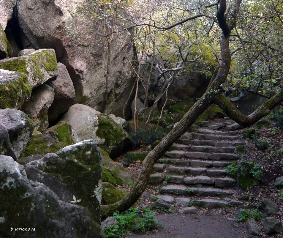 В Алупкинскомм парке - Татьяна Ларионова