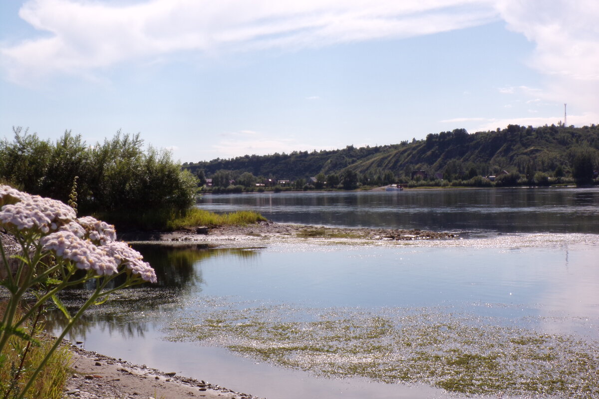 Прогулка по Енисею - Любовь Иванова Прогулка по Енисею - Любовь Иванова