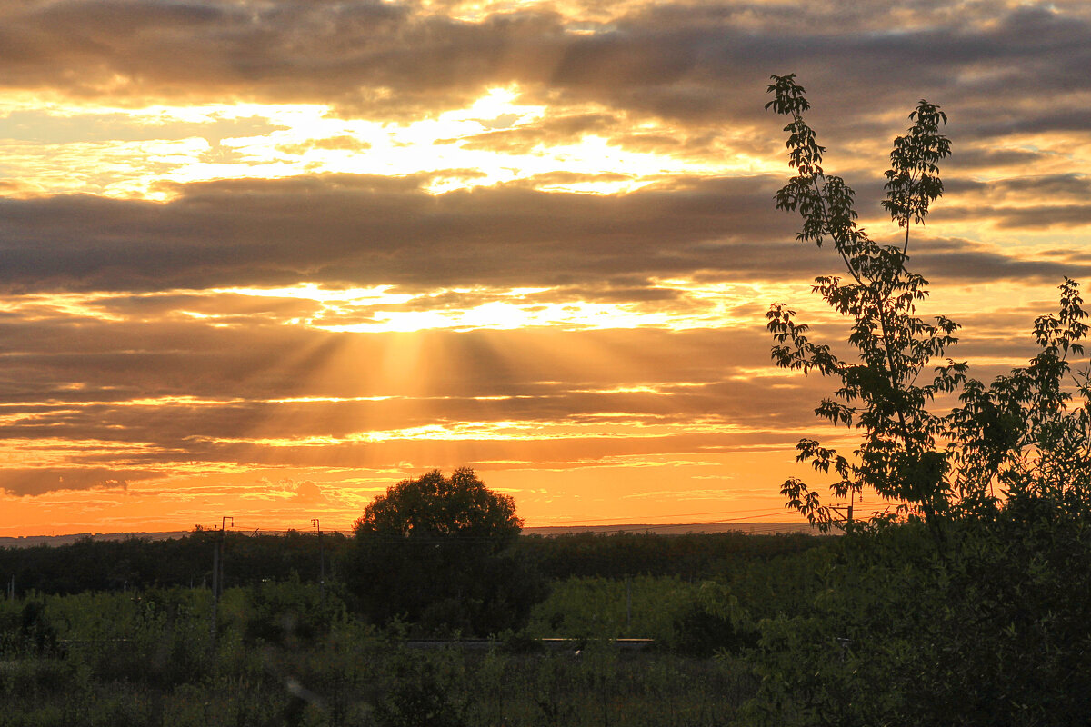 Дачная жизнь. Закат. - Nina Karyuk