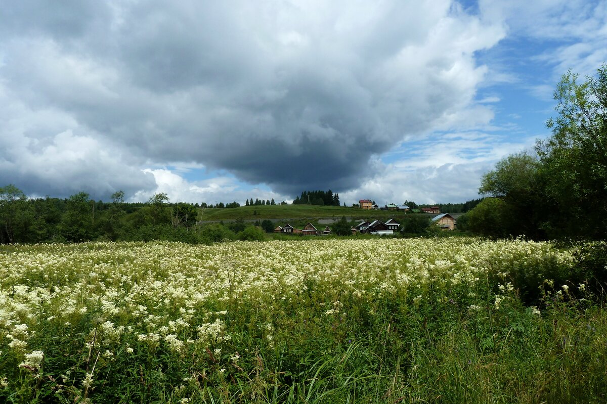 Перед дождем - Наталья Т