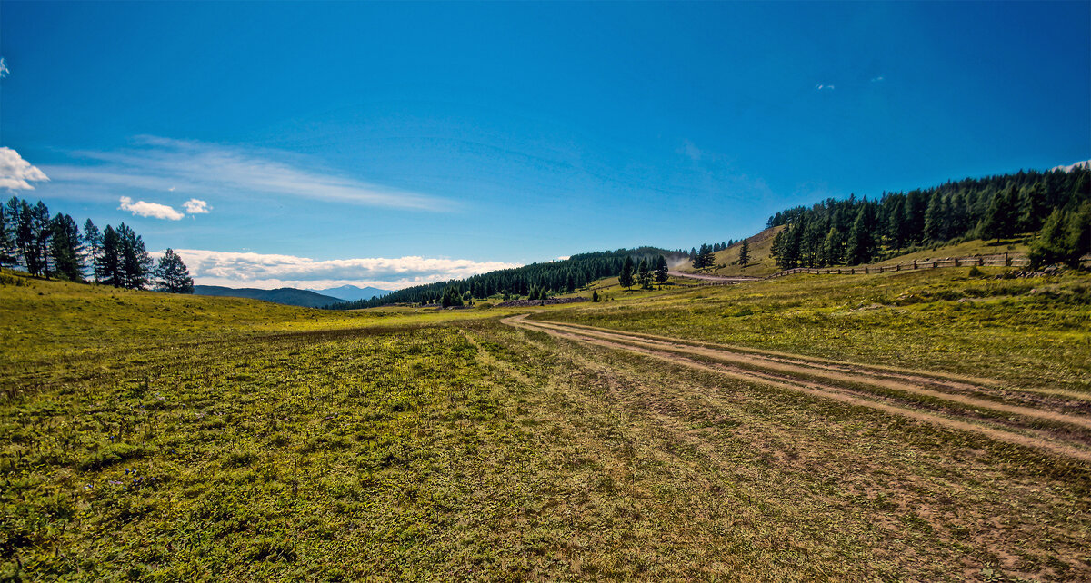 Тайны Пазырыкских курганов. - Юрий Яньков