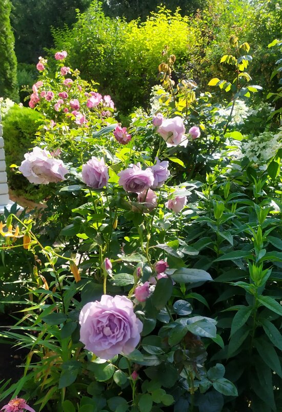 Последний день лета - minchanka 