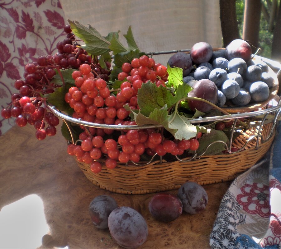 С началом осени! - Венера Чуйкова С началом осени! - Венера Чуйкова