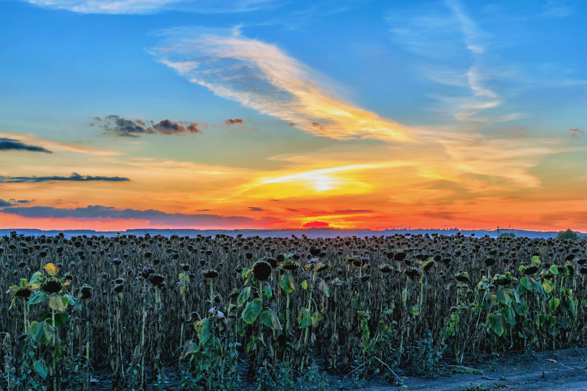 Закат.. - Юрий Стародубцев