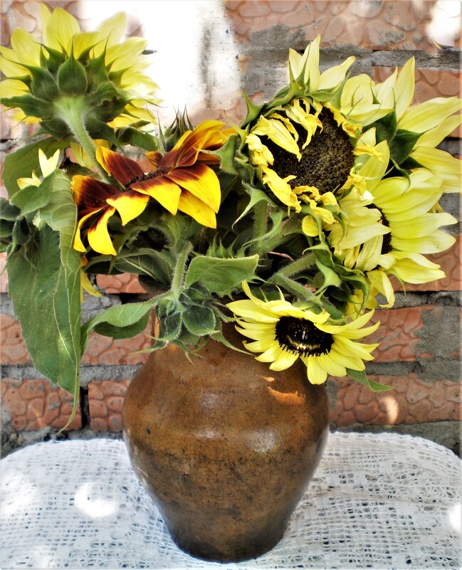 Золотистые, - Венера Чуйкова