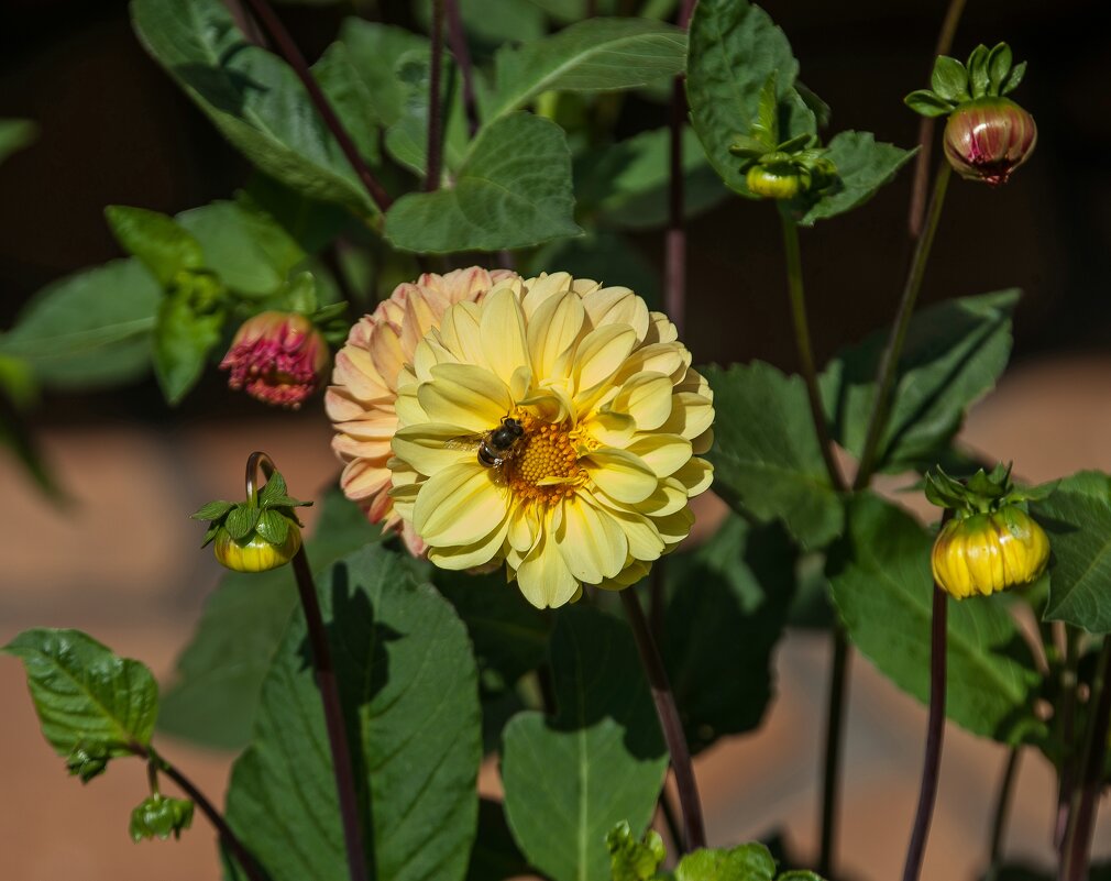 Сентябрьский этюд - Валерий Иванович