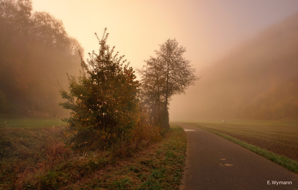 когда туманы глубоки - Elena Wymann когда туманы глубоки - Elena Wymann