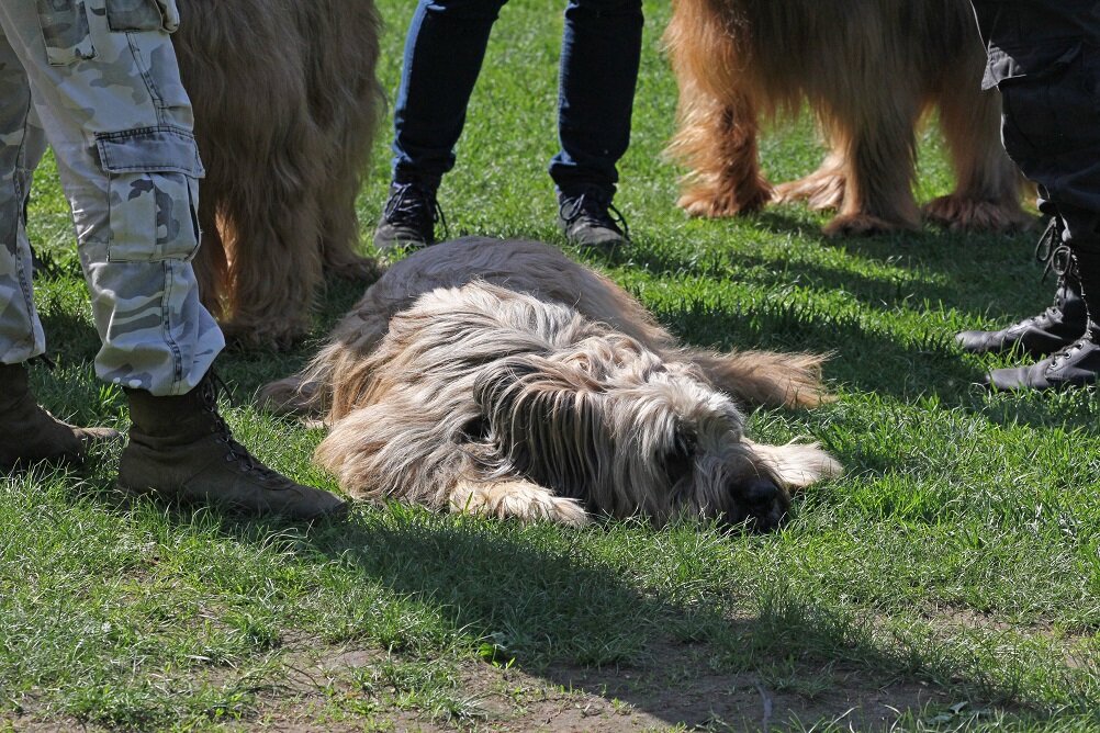 Одиночество в толпе - Надежда Тимофеева 