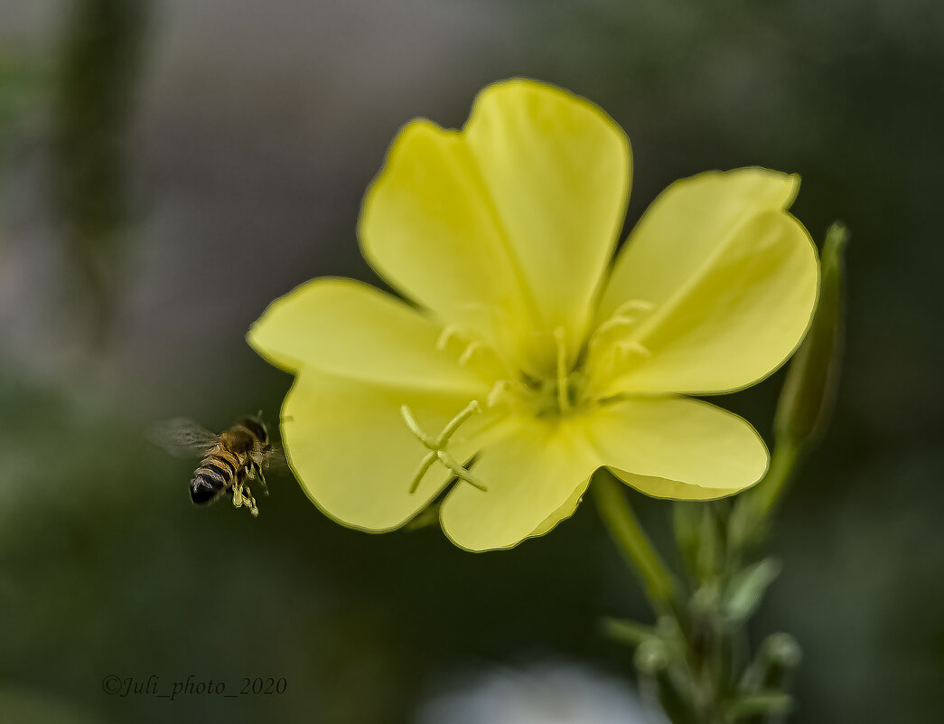 на подлёте - Юлия ♥♥♥