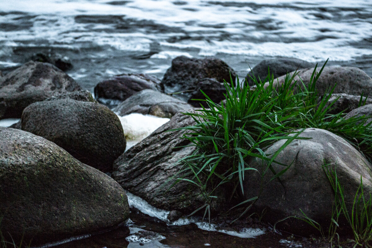 . - Алексей Алексеев