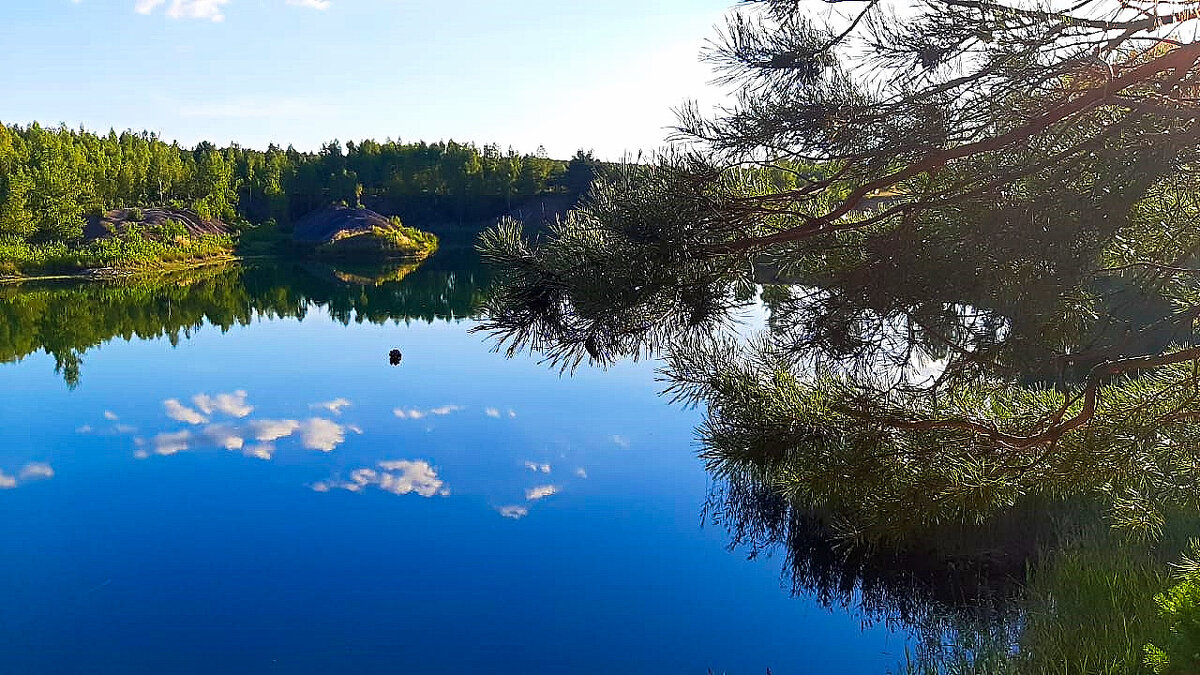 Отражение - Сергей 