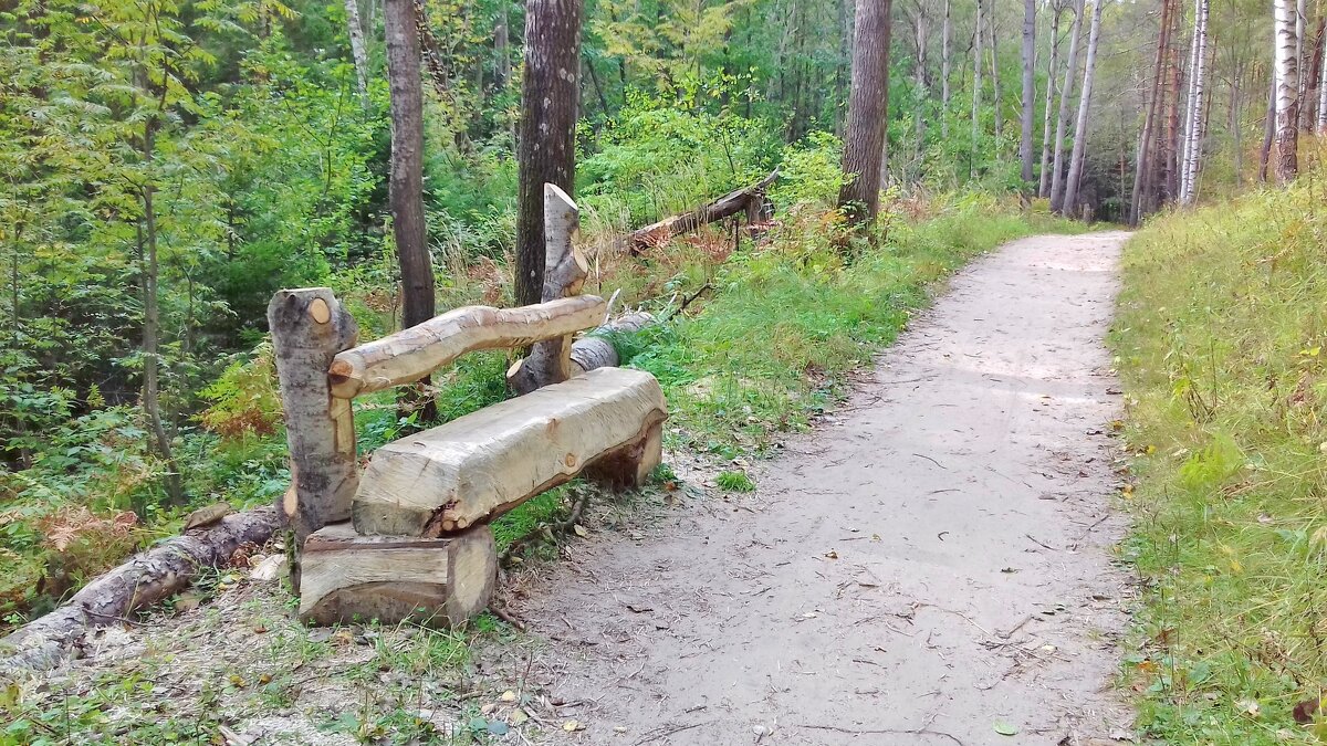 скамеечка в парке - Владимир 