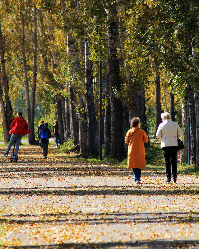 Осень в городе - Екатерина Торганская