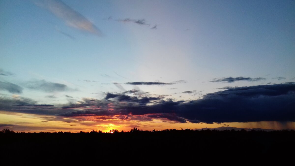 --- - Владимир 