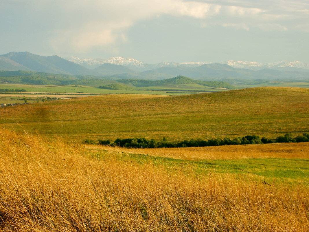 Вдали Саянские горы - Максим Ахпашев