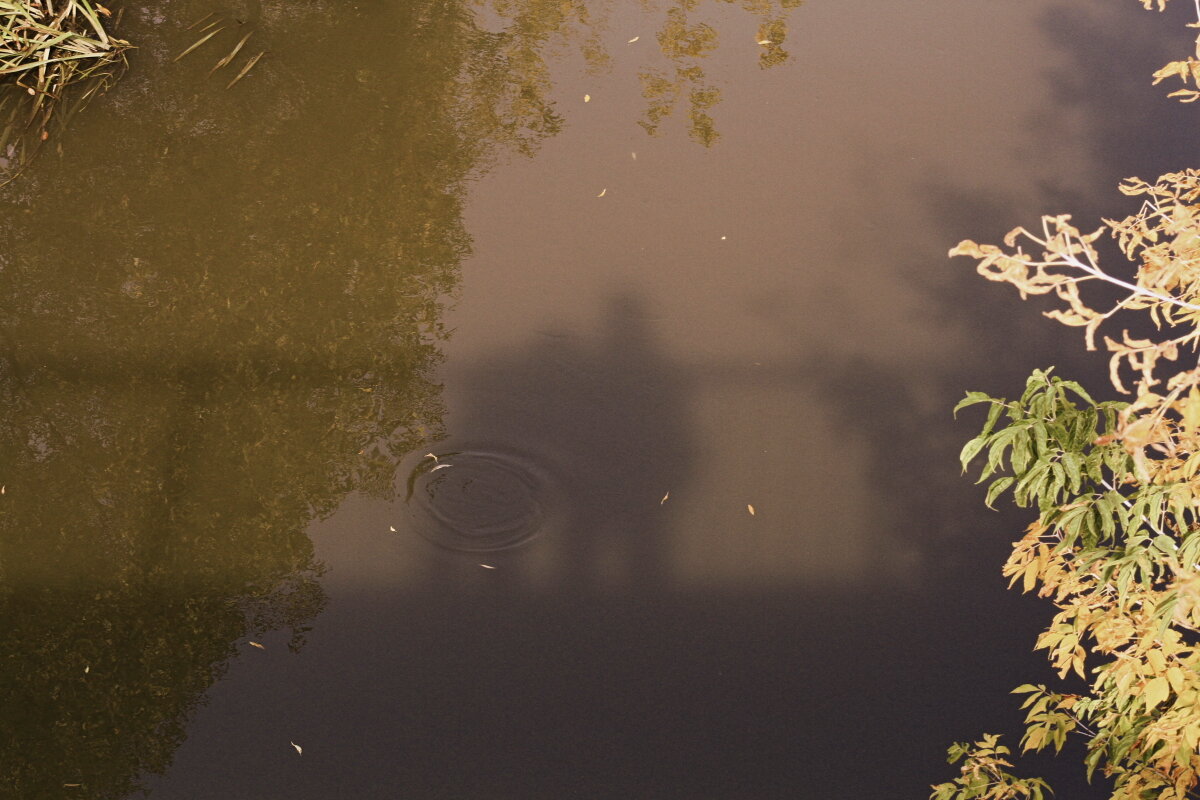 Поэма об отражении - олег свирский 