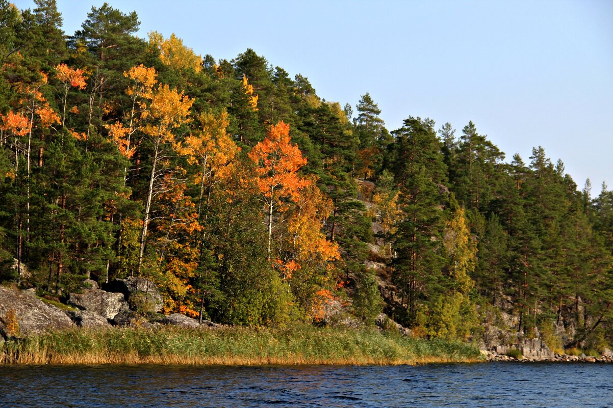 Ладожские шхеры. - Фёкла 