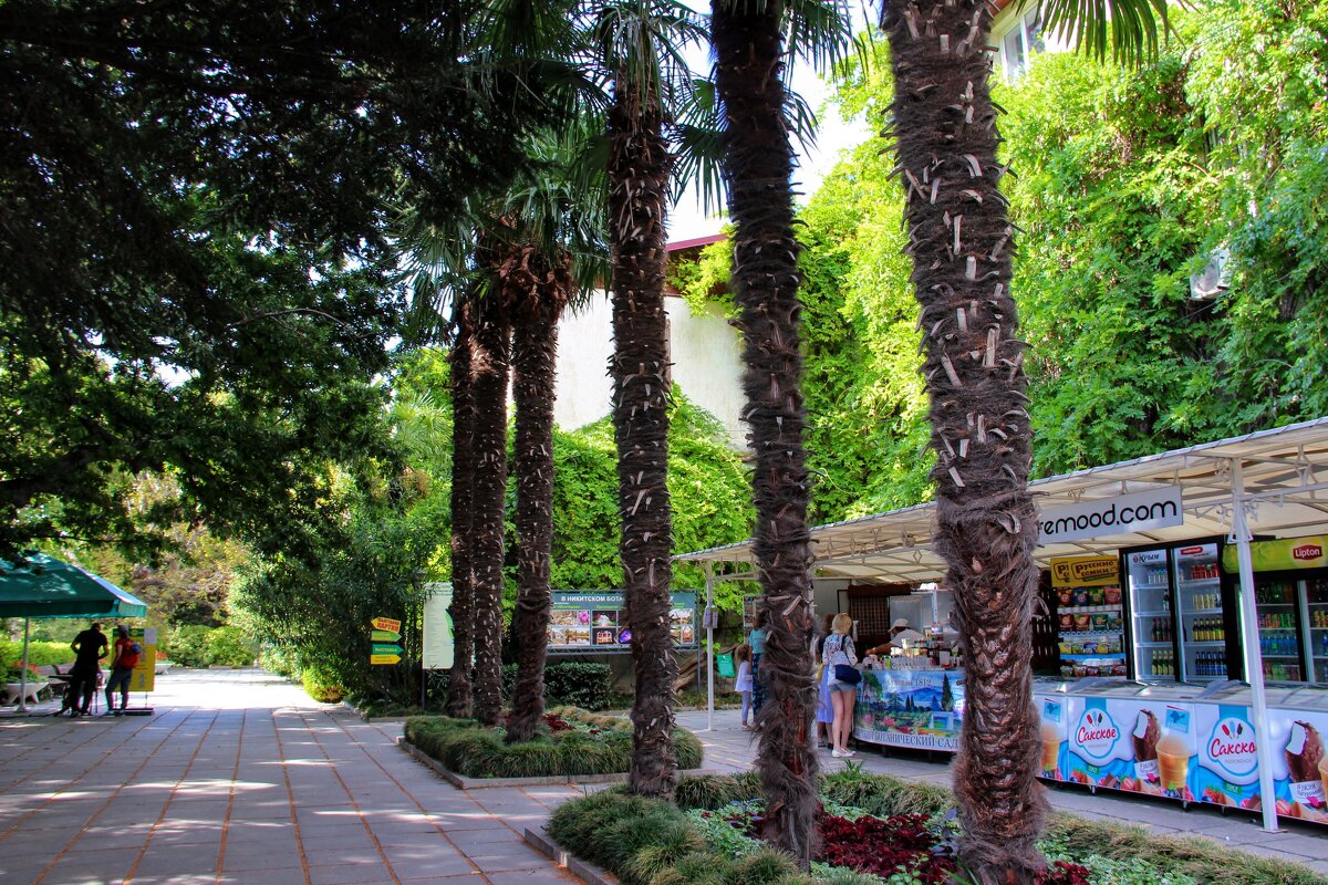 На входе в сад - Вячеслав Случившийся