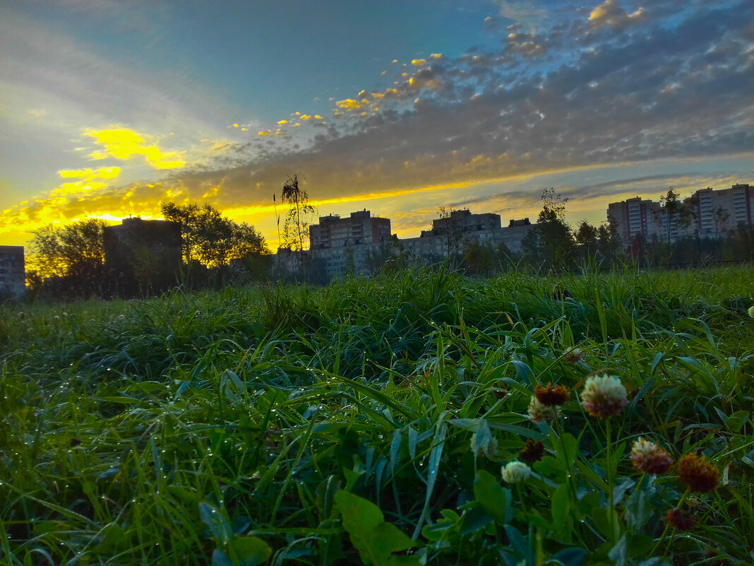 Рассвет - Сапсан 