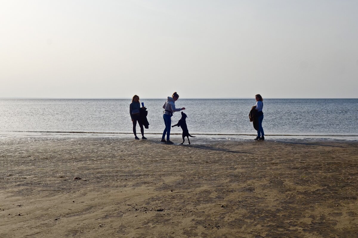 на заливе - Елена 