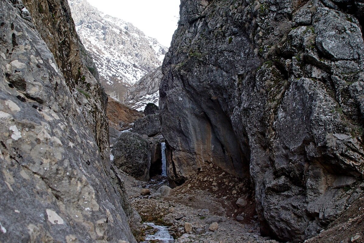ОПЯТЬ ЗИМНЯЯ ПРОГУЛКА - Виктор Осипчук ОПЯТЬ ЗИМНЯЯ ПРОГУЛКА - Виктор Осипчук